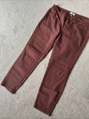 Lakeview  denim Straight Leg Mid Rise Women's Jeans in Rust, size 31